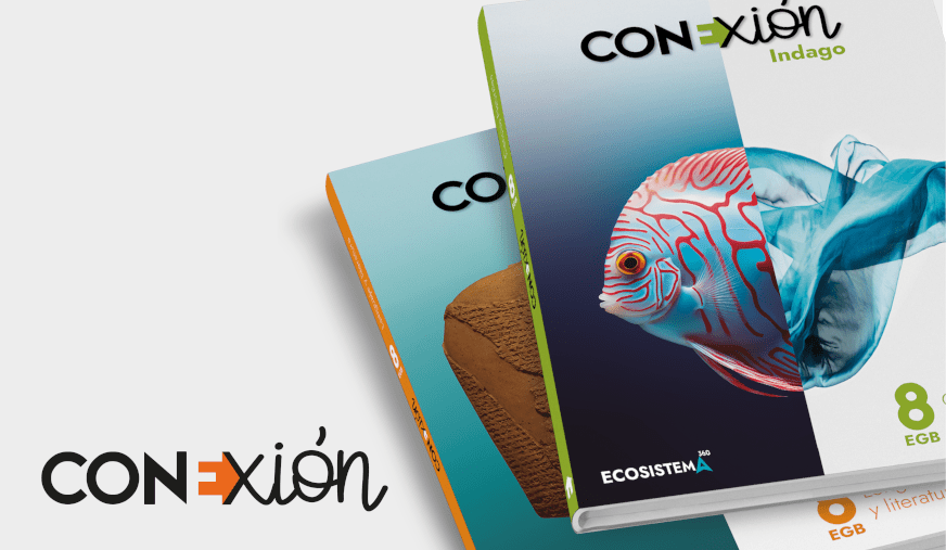 Conexión
